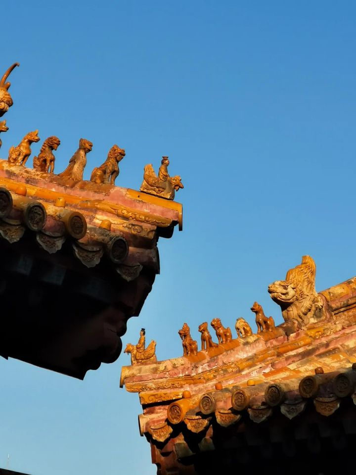 1627459582658300.jpg 640.webp (12).jpg