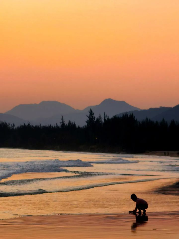 1627459160803704.jpg 640.webp (1).jpg