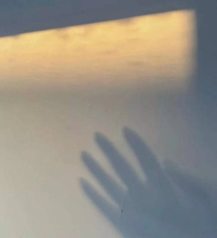 1638953222120635.jpg 640.webp (30).jpg