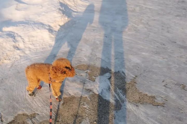 1639726673139947.jpg 640.webp (71).jpg