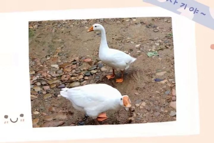 1639726664430403.jpg 640.webp (70).jpg